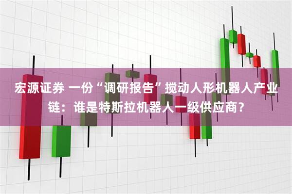 宏源证券 一份“调研报告”搅动人形机器人产业链：谁是特斯拉机器人一级供应商？