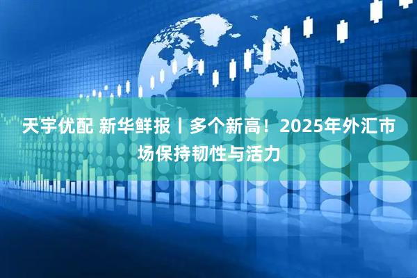 天宇优配 新华鲜报丨多个新高！2025年外汇市场保持韧性与活力