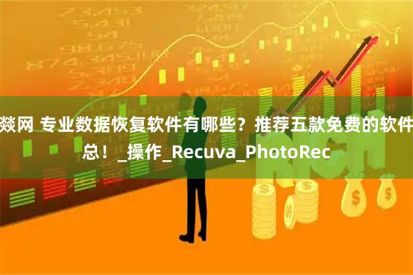 云燚网 专业数据恢复软件有哪些？推荐五款免费的软件汇总！_操作_Recuva_PhotoRec
