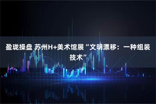 盈珑操盘 苏州H+美术馆展“文明漂移：一种组装技术”